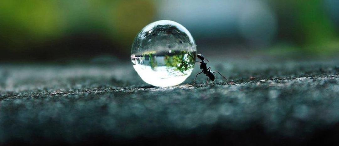 Nanotechnologické čištění dlažby